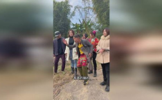 网红黄老头,从网红到现象，揭秘他的魅力与影响力