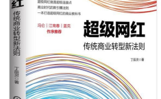 网红转型创业,华丽蜕变背后的故事与启示