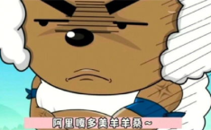 美羊羊桑,揭秘“阿里嘎多美羊羊桑”背后的故事