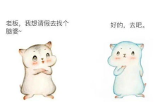 脑婆睡醒啦